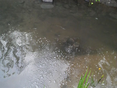 f0082402_2246538.jpg