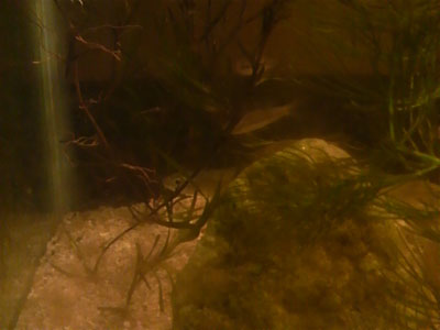 f0082402_23121744.jpg