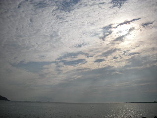 a0101503_384069.jpg