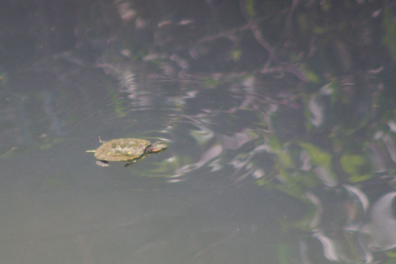 c0187503_20161446.jpg