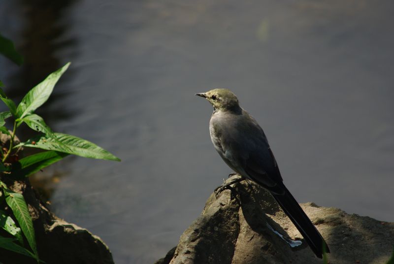 c0187503_2102423.jpg