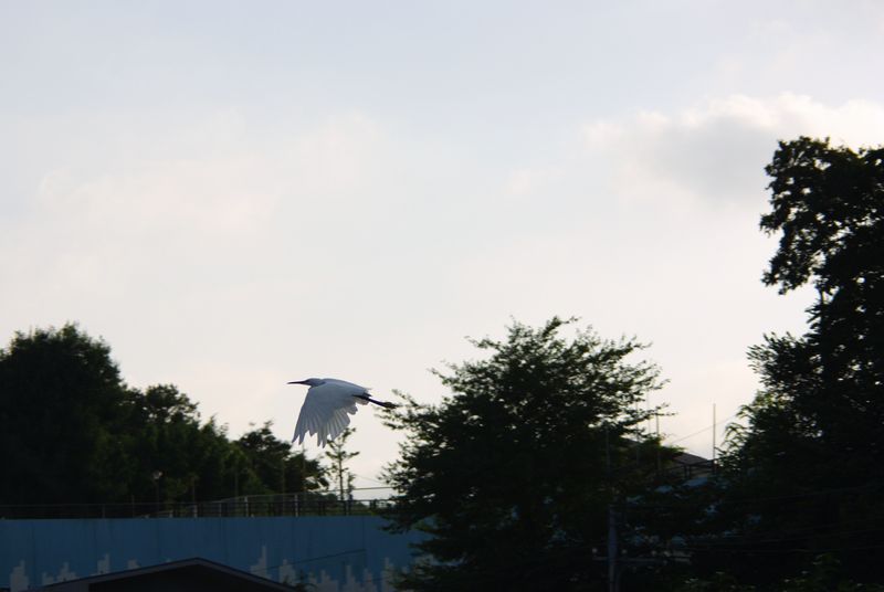 c0187503_2125764.jpg