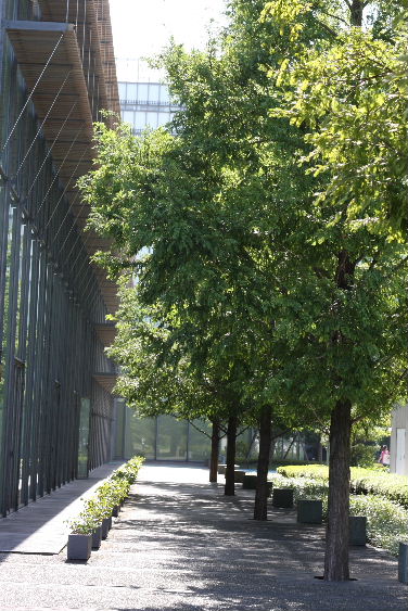e0130008_17301622.jpg
