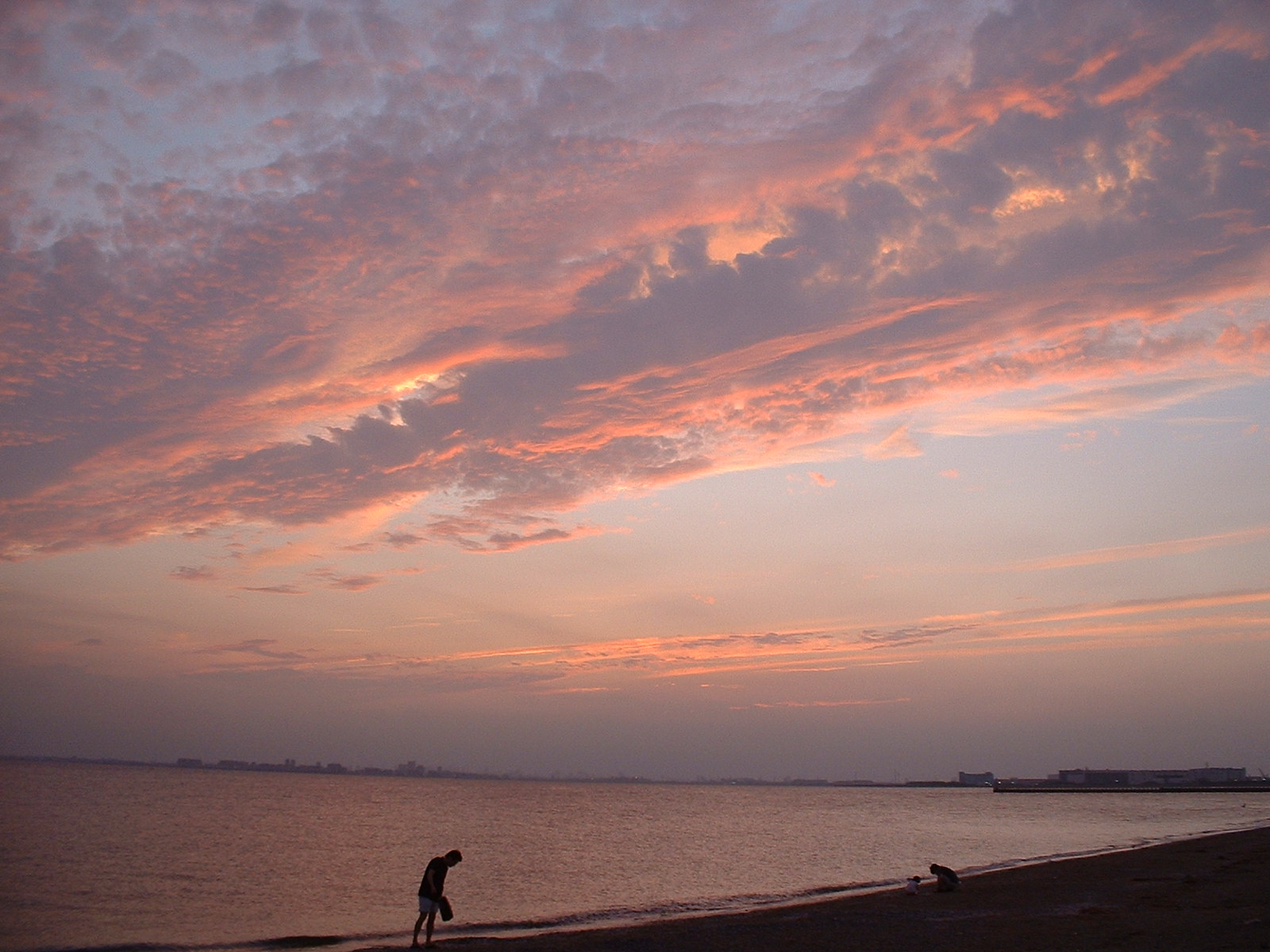 b0182709_11421466.jpg