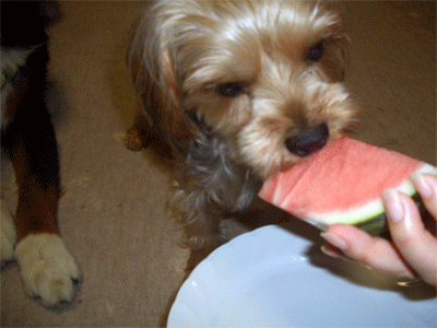 c0143711_21434555.gif