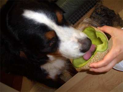 c0143711_21552627.gif