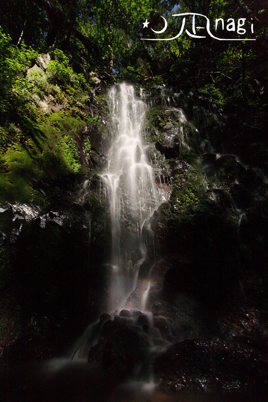 c0140721_22431937.jpg