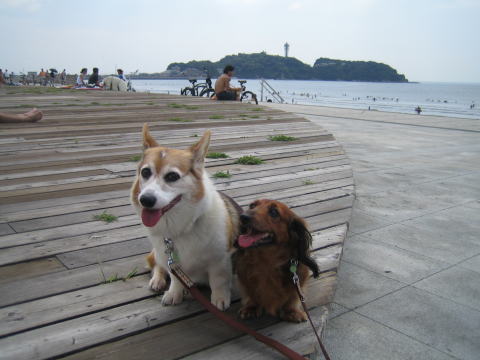 a0037322_22205343.jpg