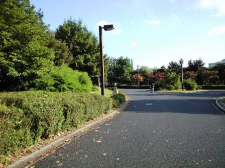 c0009224_1723533.jpg
