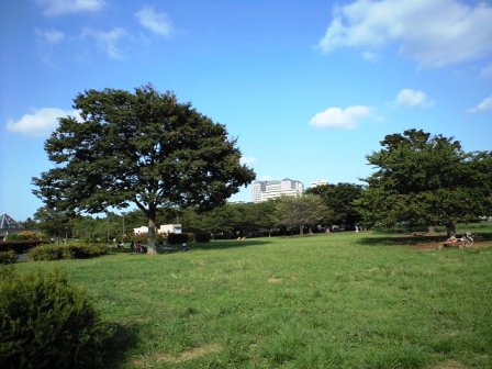 c0009224_174767.jpg