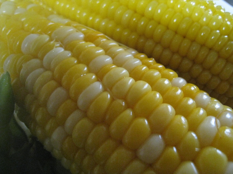 b0168830_16385175.jpg