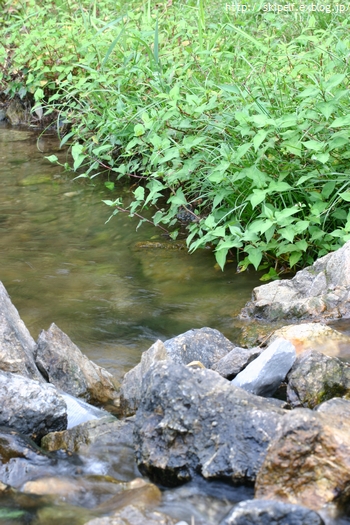 c0134734_2331193.jpg