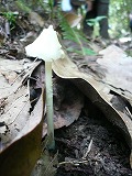 f0169942_1214590.jpg