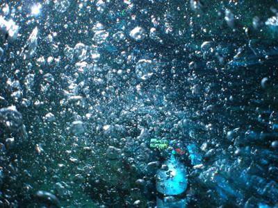 d0065247_17292.jpg