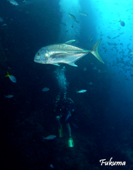 e0027447_22485329.jpg