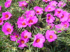 e0110047_19241361.jpg