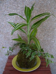 e0110047_2101329.jpg