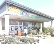 e0150849_1220634.jpg