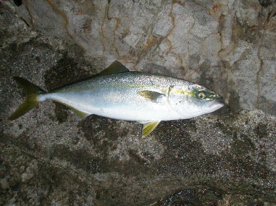 f0150151_18501476.jpg