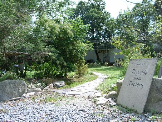 f0201157_233245.jpg