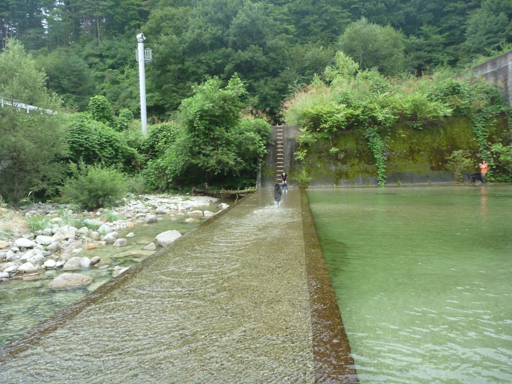 e0173961_164796.jpg