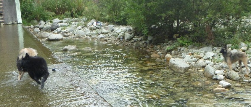 e0173961_16481893.jpg