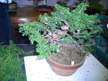 f0195963_2021480.jpg