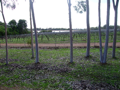 b0085766_23581712.jpg