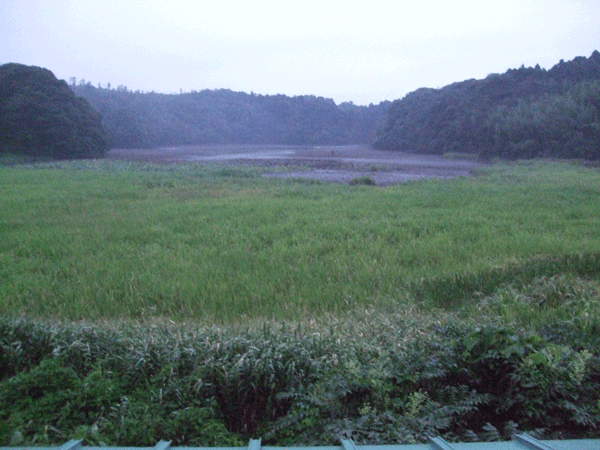 d0094868_18474856.gif