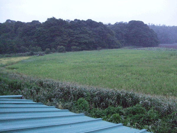 d0094868_18483952.gif
