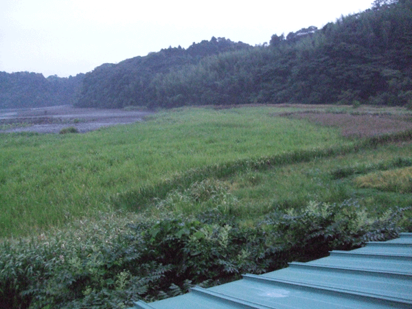 d0094868_1849718.gif