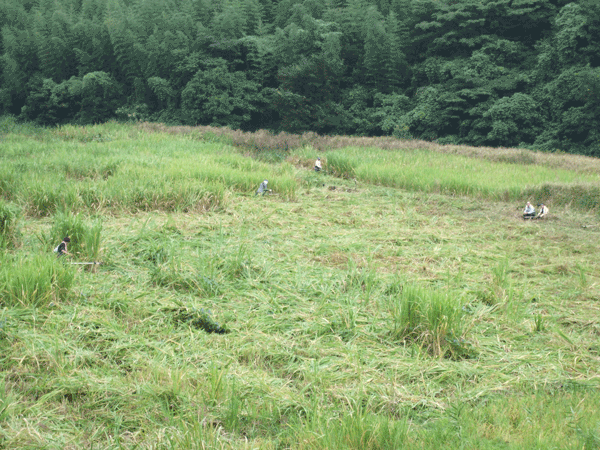 d0094868_18554572.gif