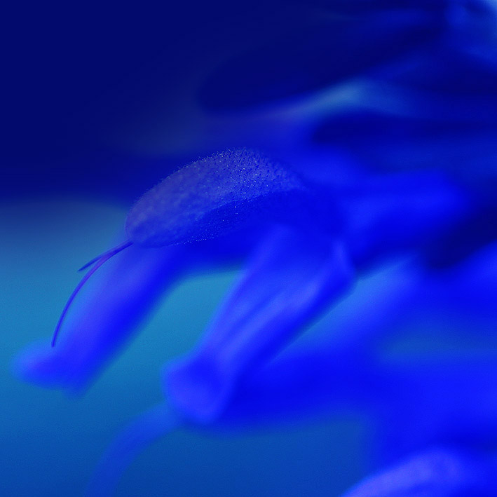 e0188168_1415386.jpg