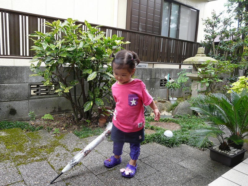 c0182169_815468.jpg