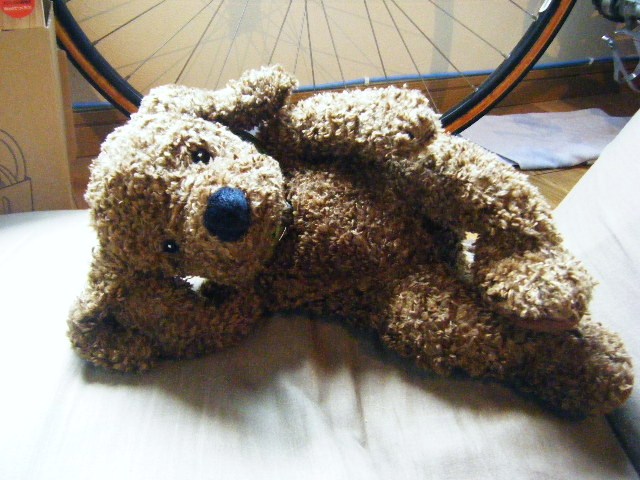 f0207970_9455513.jpg