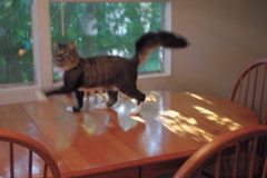 f0004775_5194220.jpg
