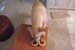 f0004775_5213892.jpg