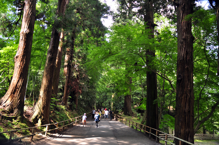 e0185077_22131013.jpg