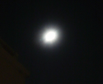 b0129280_11049.jpg
