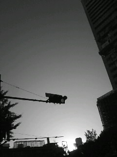 f0100480_1994173.jpg