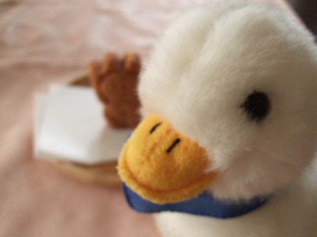 f0039281_21223453.jpg