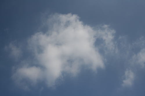 b0136683_1492879.jpg