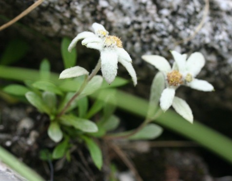 c0144185_1119364.jpg