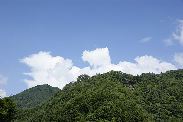 c0193887_2102414.jpg