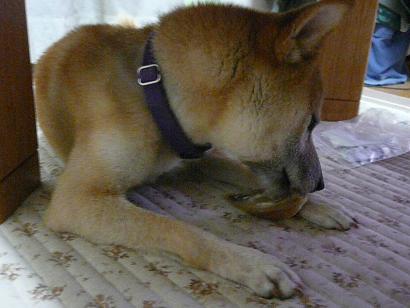 c0123890_2063093.jpg