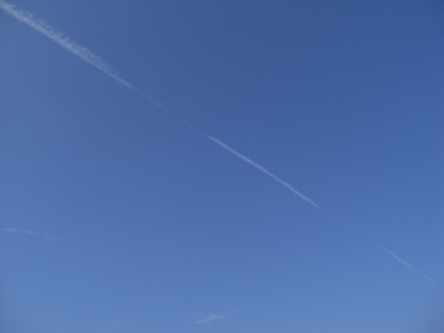 f0131491_1517879.jpg