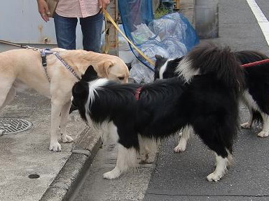 c0028792_22335486.jpg
