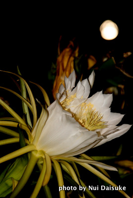 d0032693_16535184.jpg