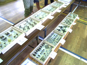 e0083097_18415032.jpg