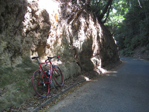 b0097200_18515837.jpg